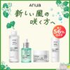 【どうなの？】人気の”新しい風の咲く方へ セット”って 〜ランキング上位常連よね♪〜